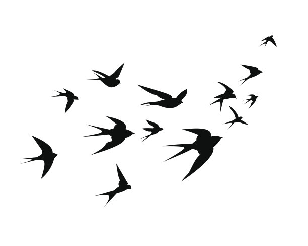 silhouette