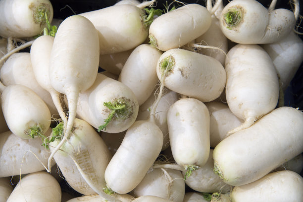 radishes
