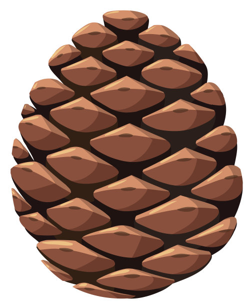 cone