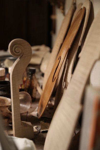 violin