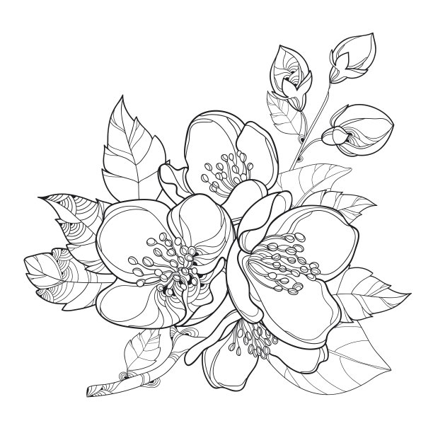 jasmine