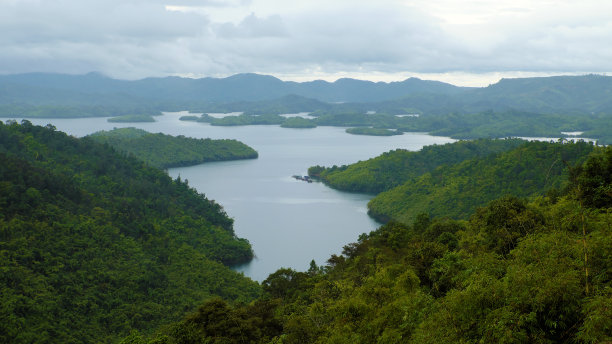 鱼塘景观设计