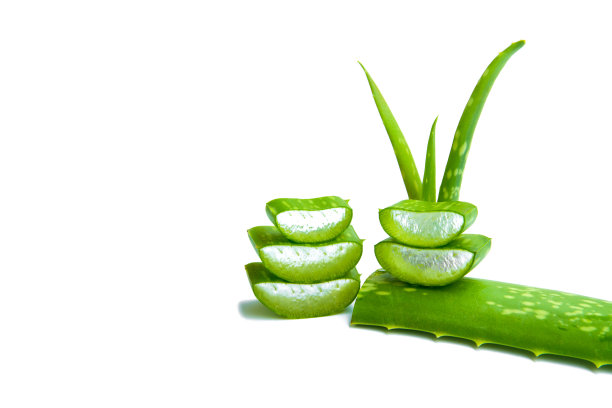 aloe