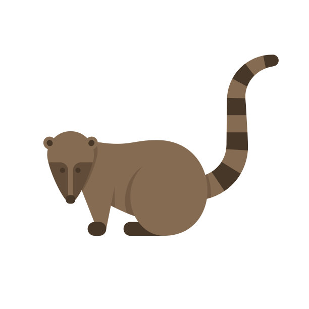 coatimundi