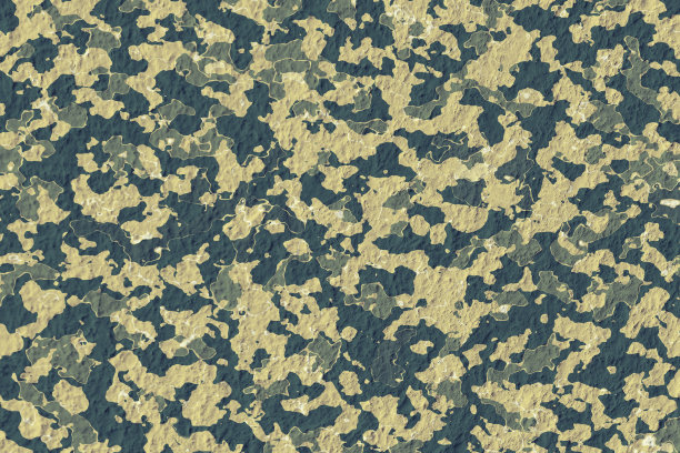 camo