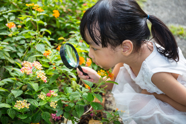 discovery