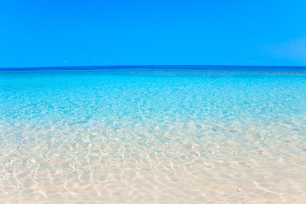 大海