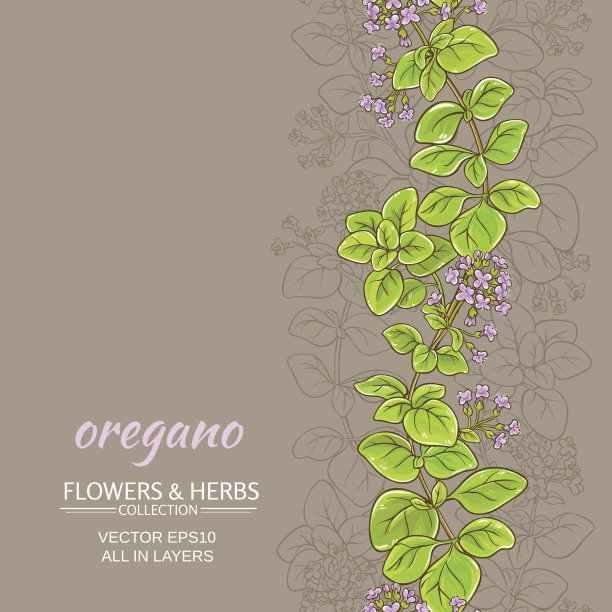 oregano