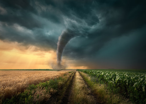 spout