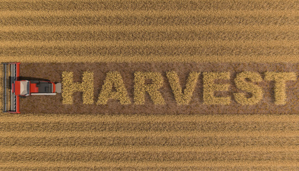 harvest