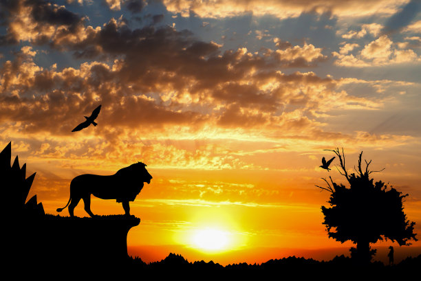 lion