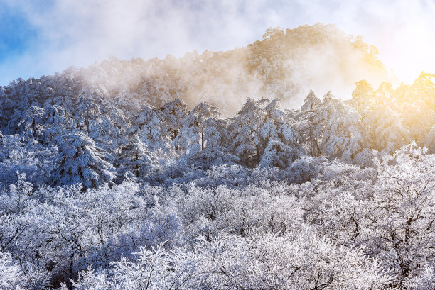 黄山雪景