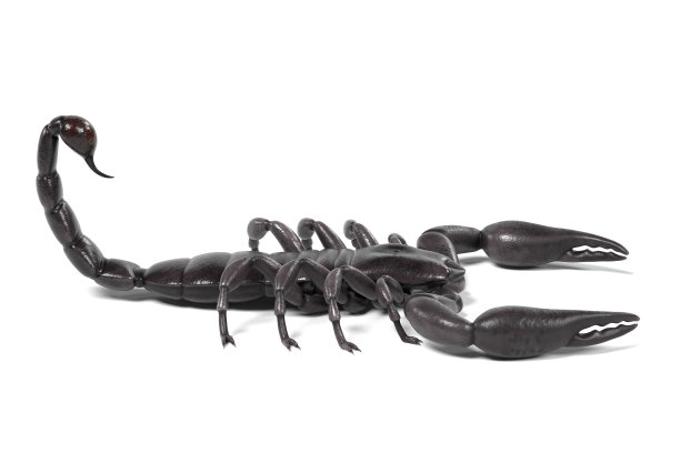 scorpio