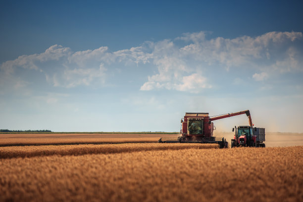 harvest