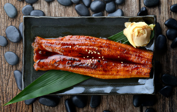 eel