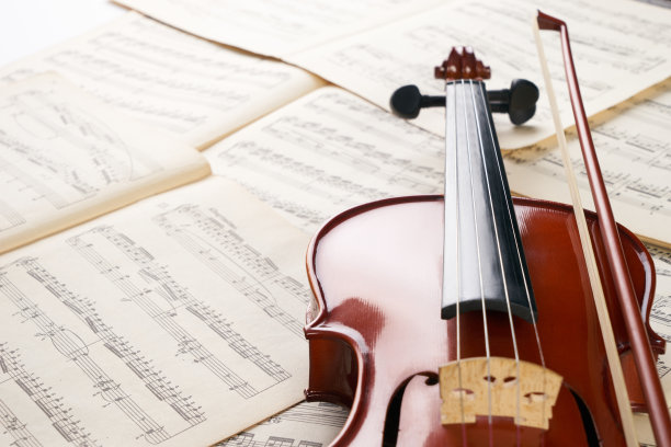 violin