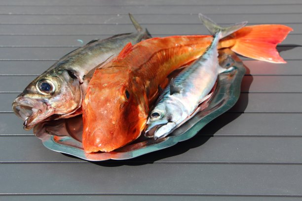 aji