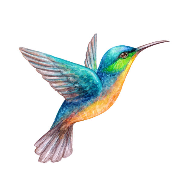 avian