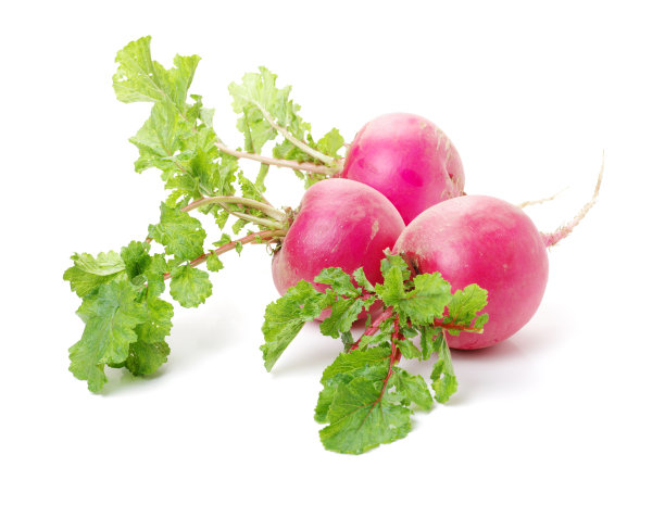 radishes