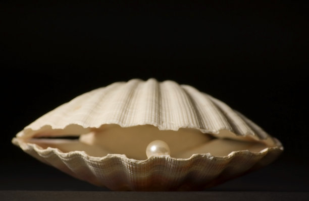 mussels