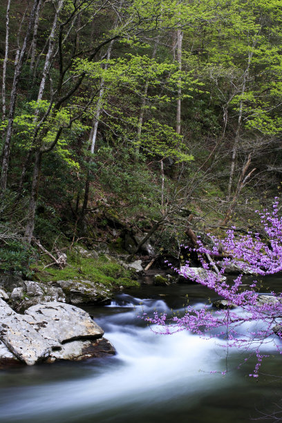 春天小河