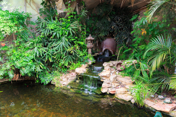 ponds