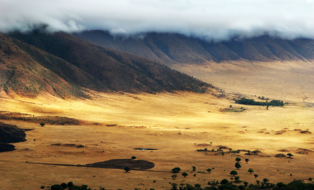 ngorongoro