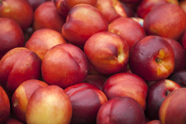 nectarines