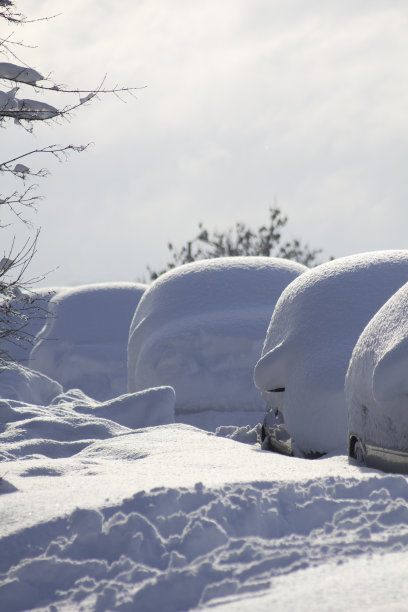 雪停了