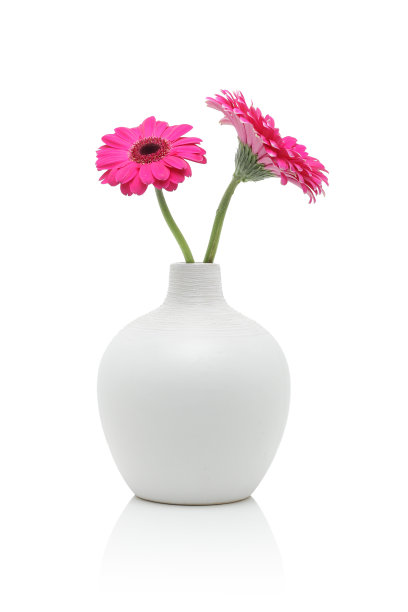 vase