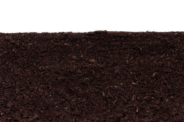 ground
