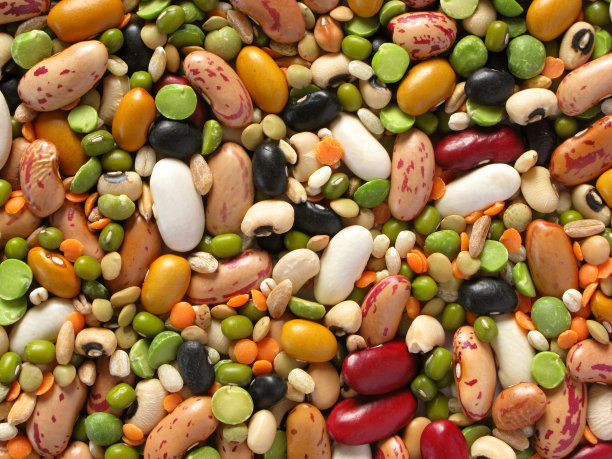 legume