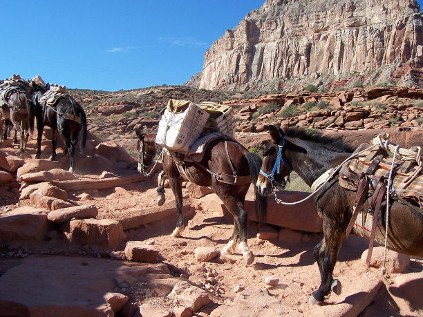 supai