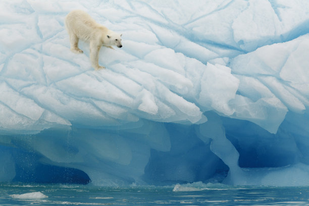 arctic