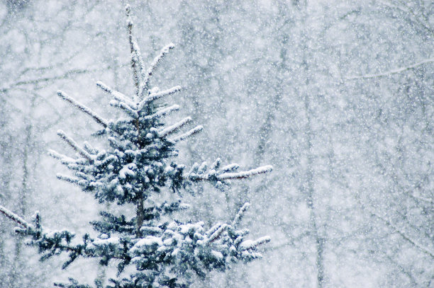 snowfall