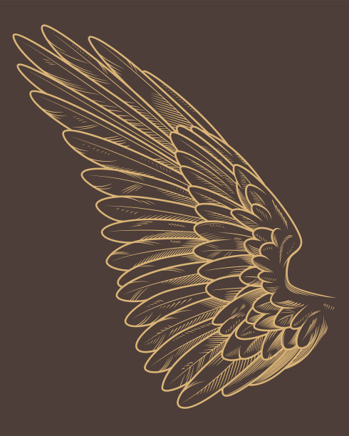 wings