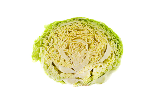 羽衣甘蓝,一半的,十字花科