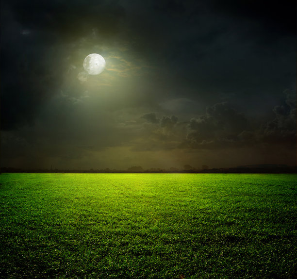 月光草坪