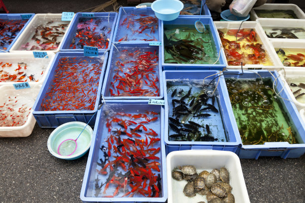 vendor