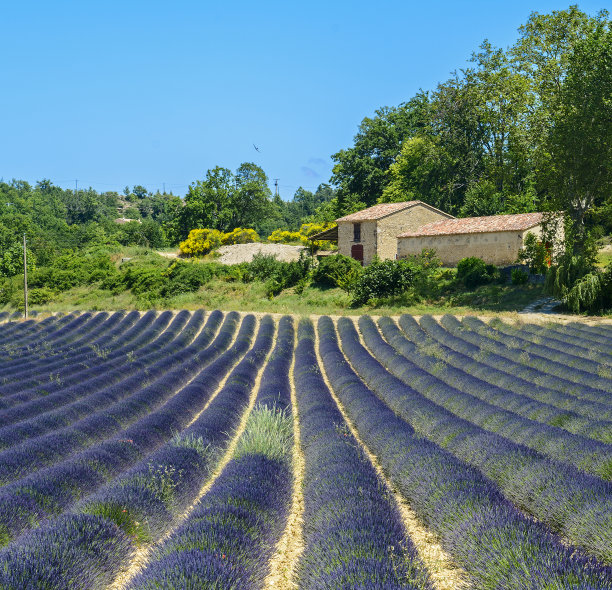 provence