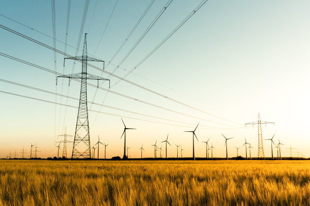 pylons