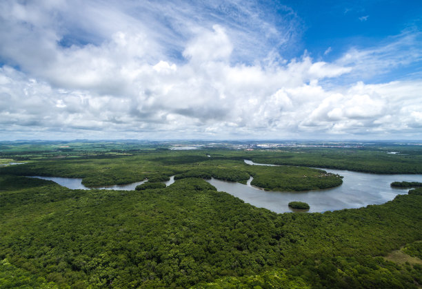 亚马逊地区
