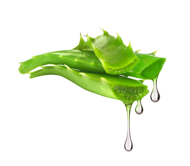 aloe