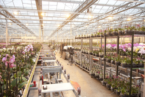 greenhouse
