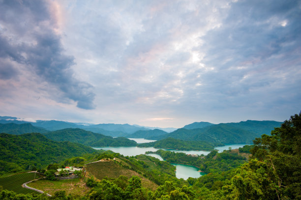 台湾森林景观