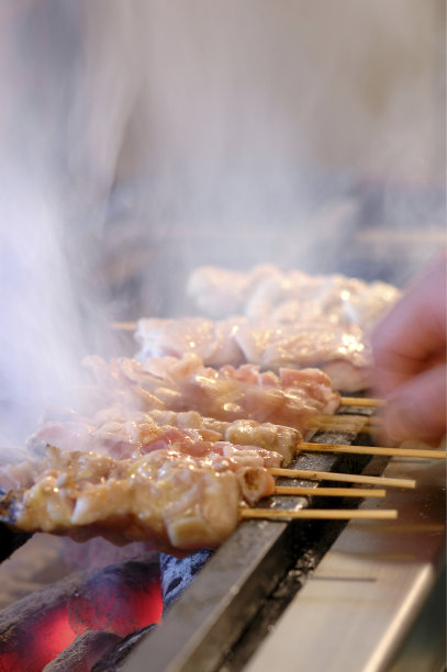 烤鸡肉串