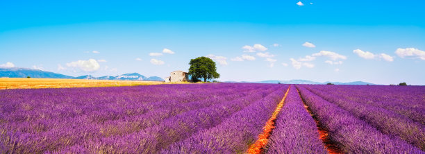 provence