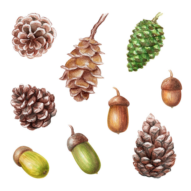 cone