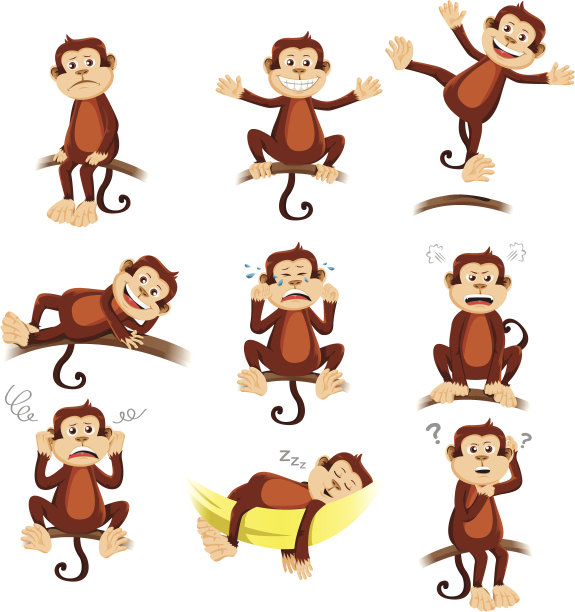monkey