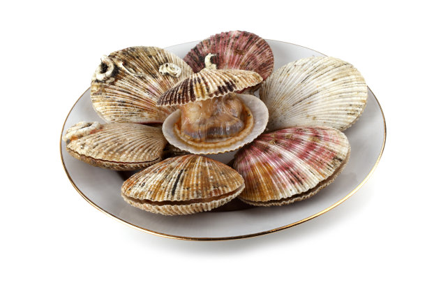 cockle